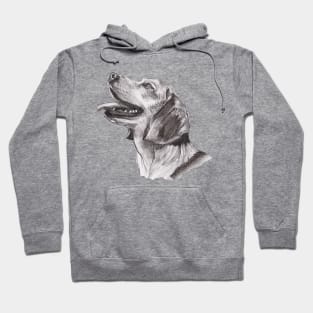 Classic Beagle Dog Profile Drawing Hoodie